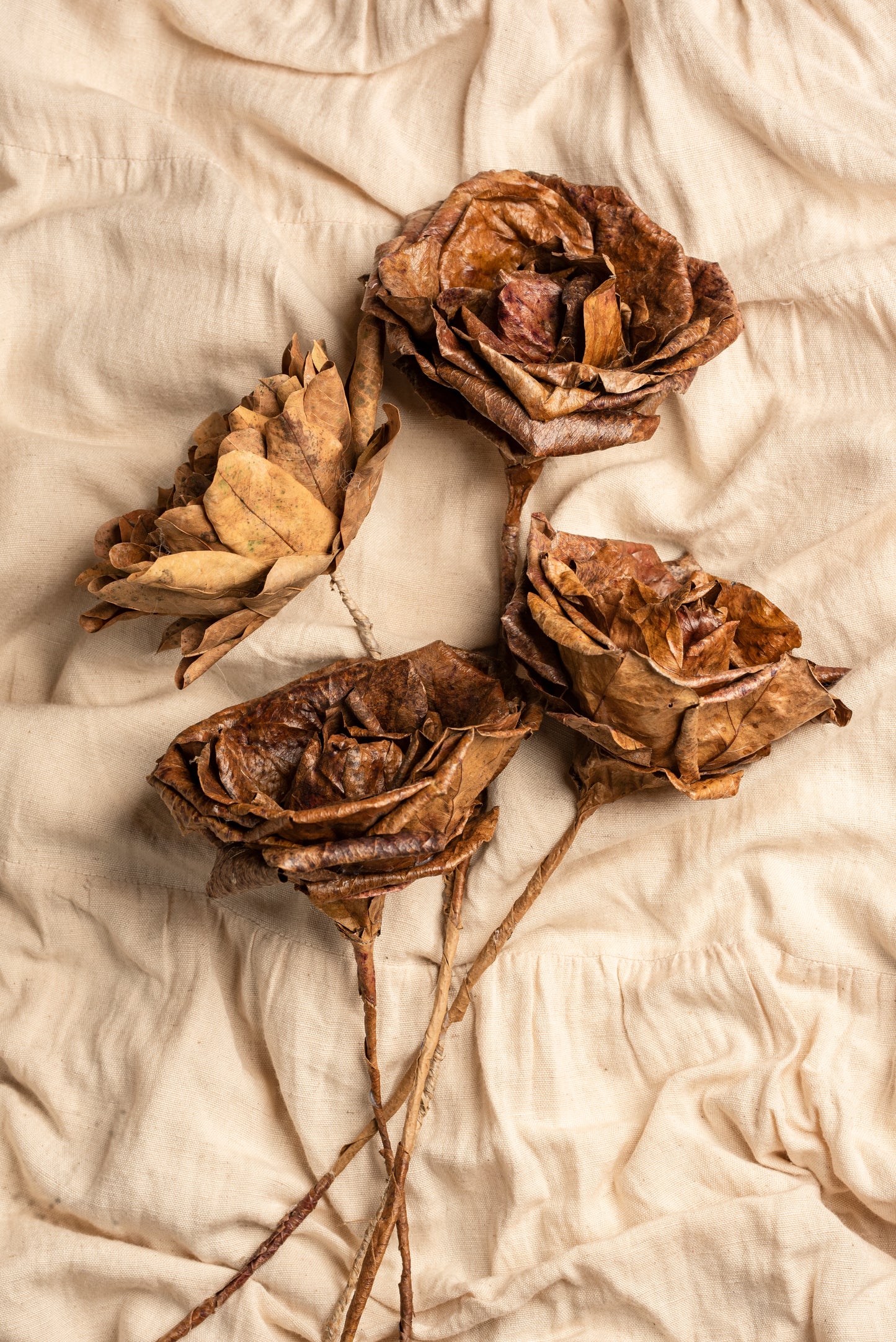 Ceylon almond roses